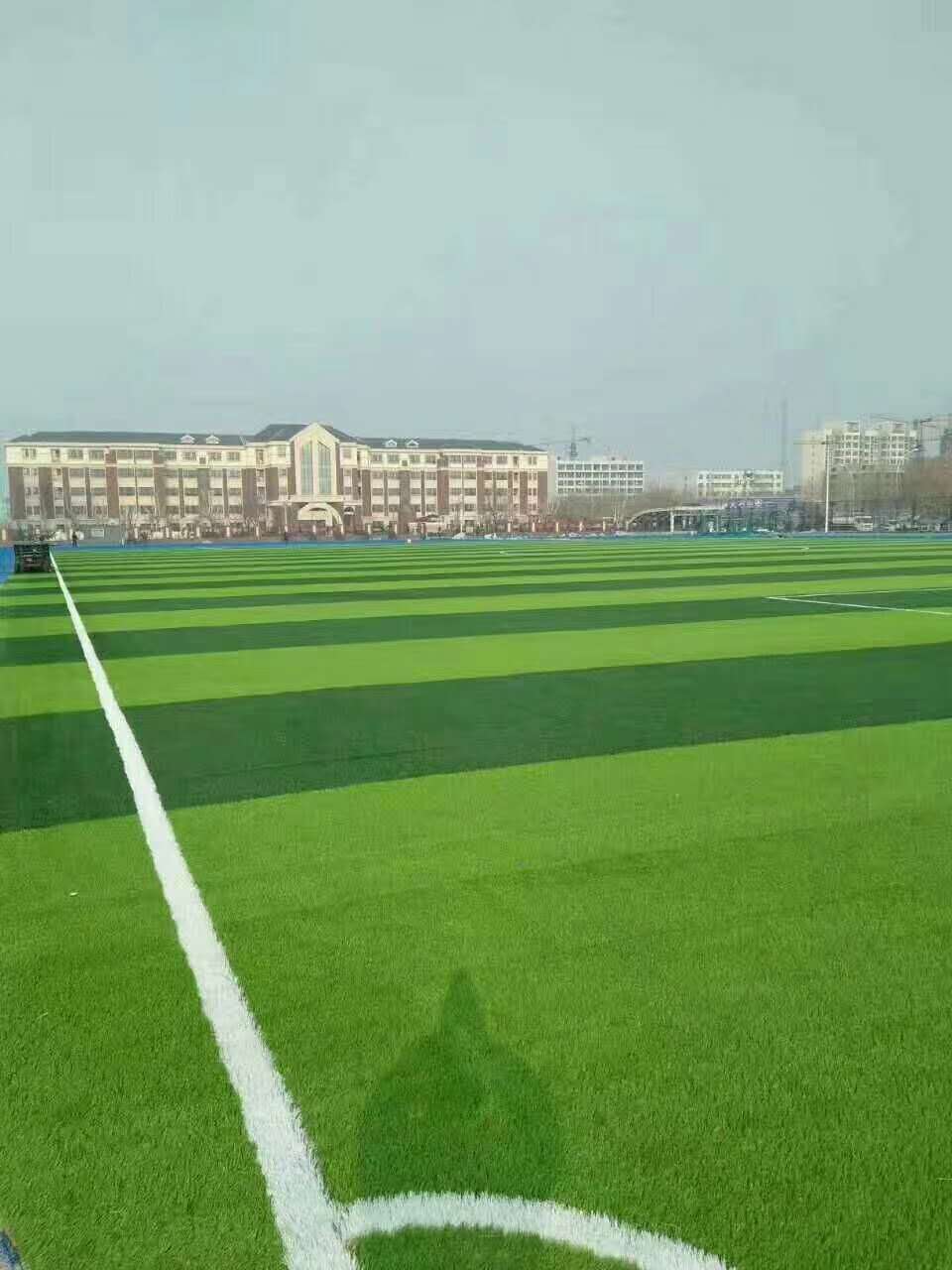 湛江市新国标塑胶跑道仿真草坪 - 排名